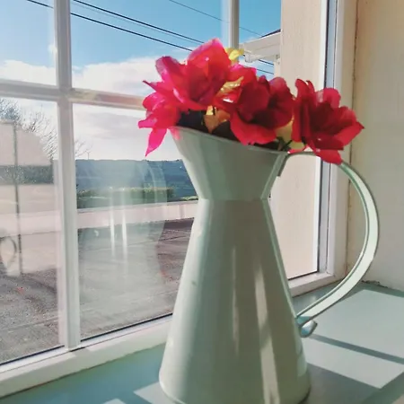 بيت للعطل Pegs